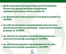 В Семее пройдёт санитарно-экологический двухмесячник по благоустройству, озеленению и наведению санитарного порядка  