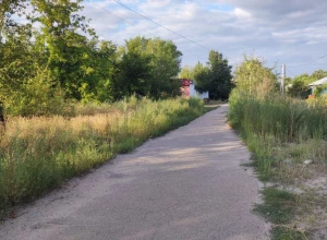 Улицы Семея превратились в заросли из-за проволочек с госзакупками 