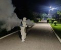 В Семее продолжаются работы по уничтожению комаров