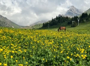 Июнь стал самым жарким за 18 лет в Казахстане