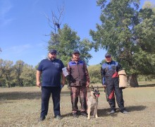 Собаки из нескольких городов сдавали экзамены в Семее