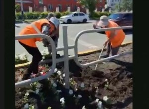 В Семее продолжается высадка цветов